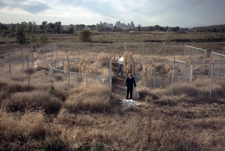 Time To Make A Stand A Conversation With Mel Chin Sculpture